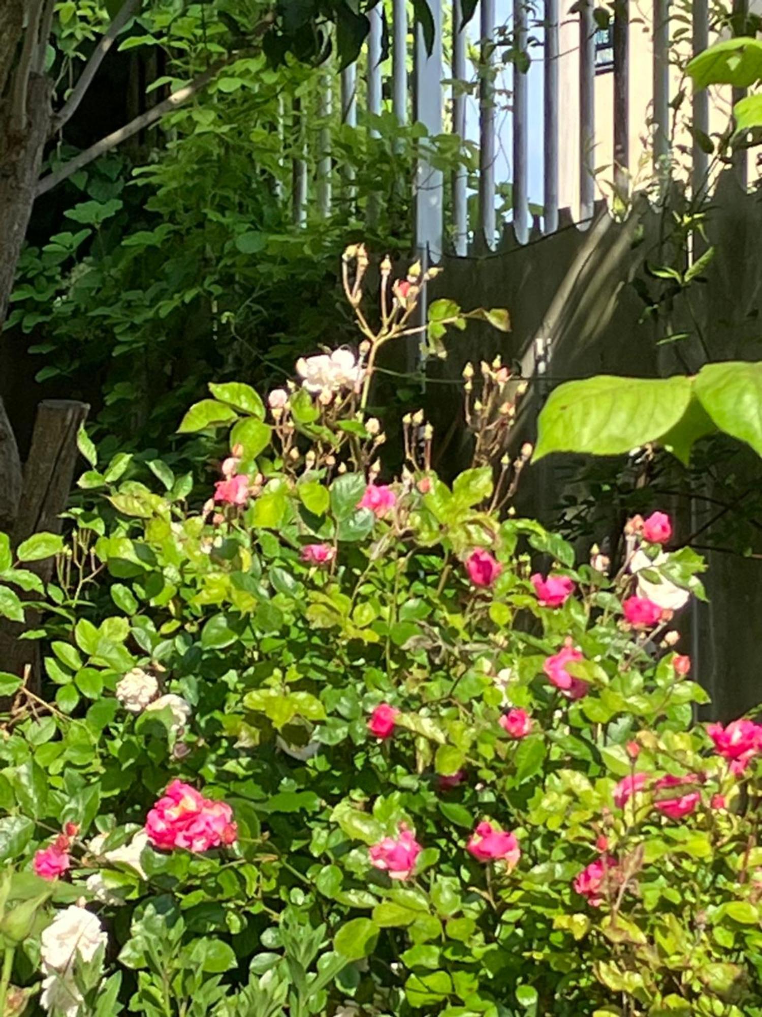 La Villa Lauvray Vétheuil 外观 照片