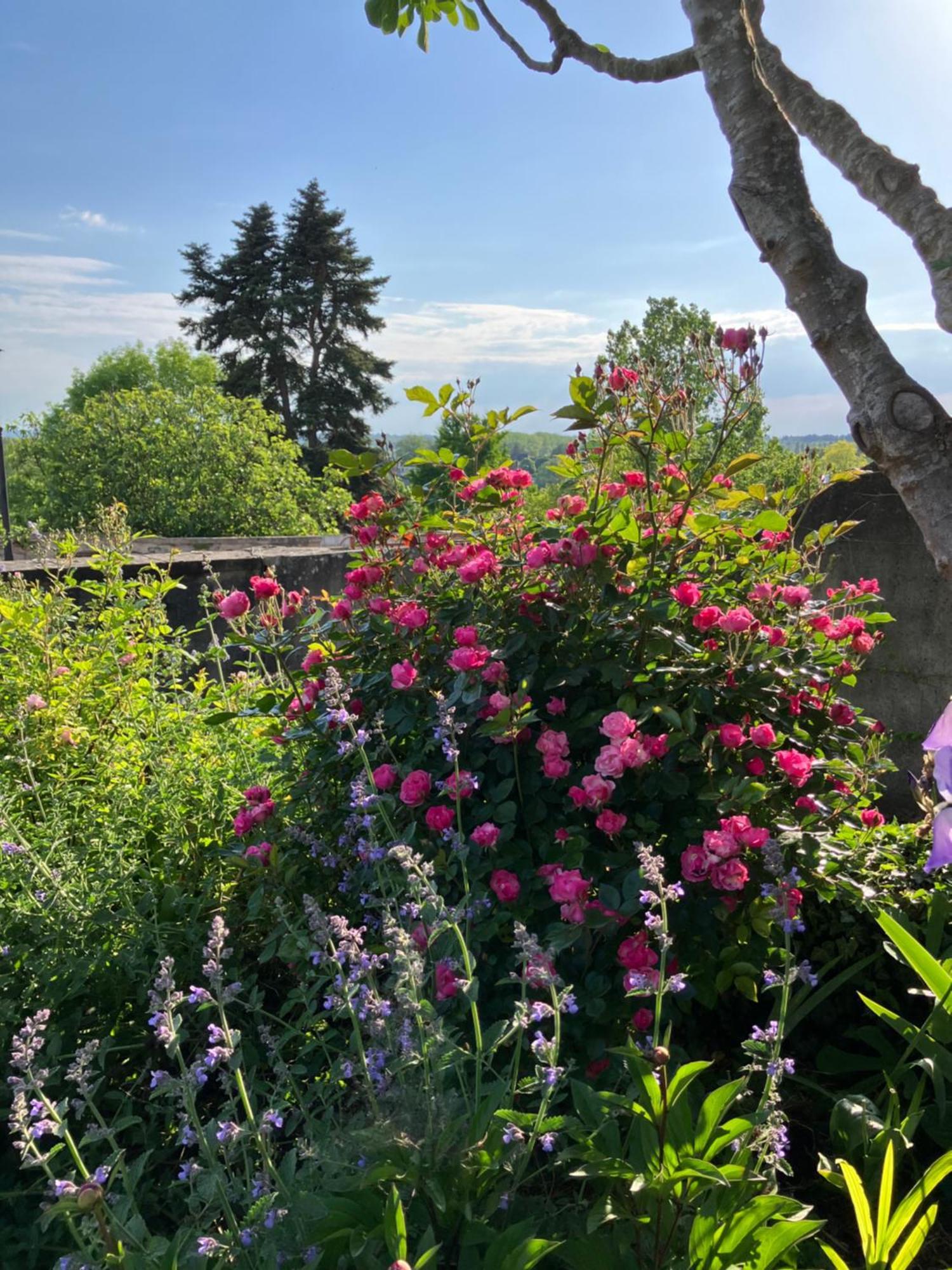 La Villa Lauvray Vétheuil 外观 照片
